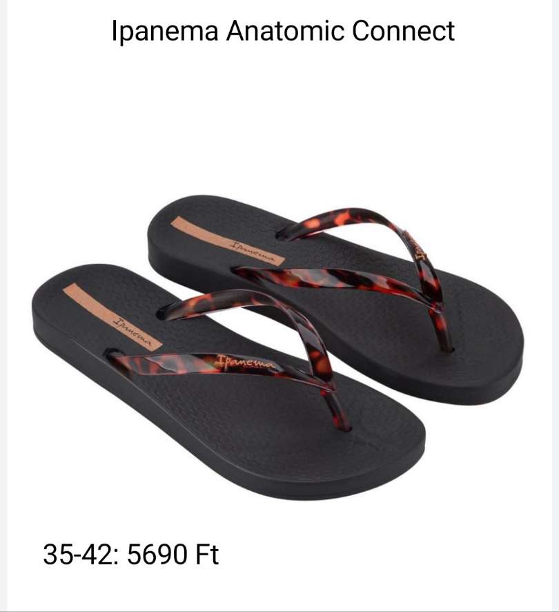 Ipanema Anatomic Connect